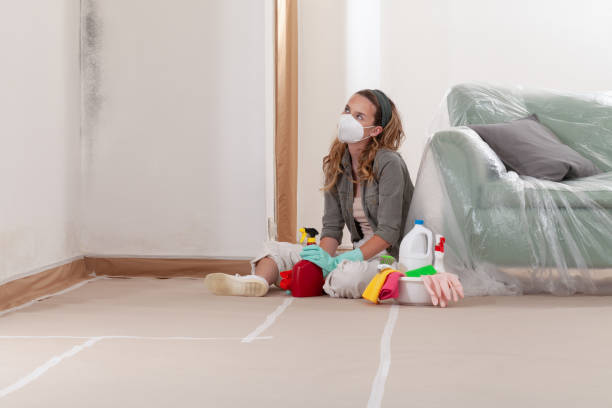 Reliable Mold Inspection contractor in Shrewsbury, PA by WQB Mold Removal