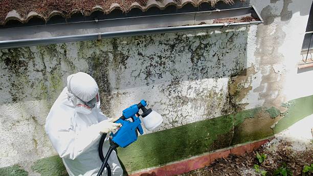 Top rated local Mold Inspection specialists in Shrewsbury, PA
